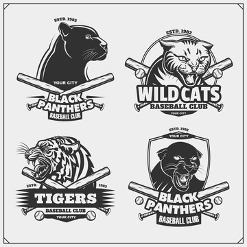 Set of baseball emblems, badges, logos and labels with tiger, panther and wildcat.