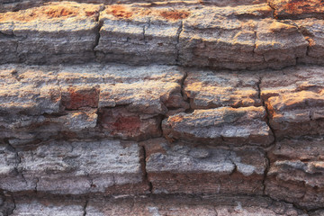 Wood or natural wood texture and brown rough natural wood background. Wood material. Texture of the dried stem with a detailed texture.