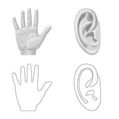 Isolated object of human and part sign. Collection of human and woman stock vector illustration.