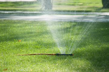 Automatic Watering the green lawn garden sprinkler on a sunny summer