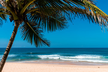 Fototapeta na wymiar Sri Lanka beach with waves and cloud