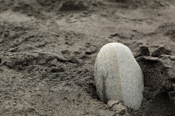 A grey stone into the black volcanic sand of Tenerife island