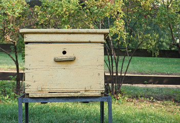 Yellow beehive mounted on a honey apiary.