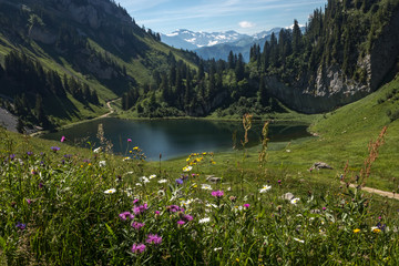 Montagne du Chablais , Lac d' Arvouin à la Chapelle d' Abondance