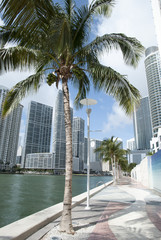 Fototapeta na wymiar Miami River Walk