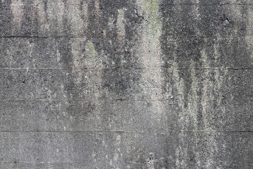 Obraz premium 古びた壁のテクスチャ