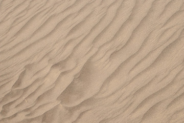 sand texture for background.desert pattern surface.abstract pattern of sand dune.