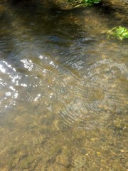 Water, wave, lake, reservoir, Creek