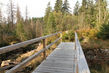 Fototapeta premium alte Holzbrücke