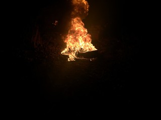 Flame 