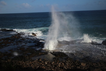 Spouting Horn- kauai
