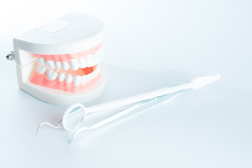 Dental model with dental equipment in oral health concept.