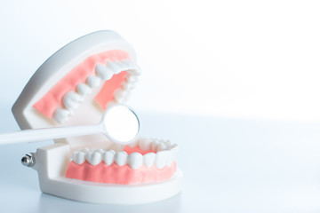 Dental model with dental equipment in oral health concept.
