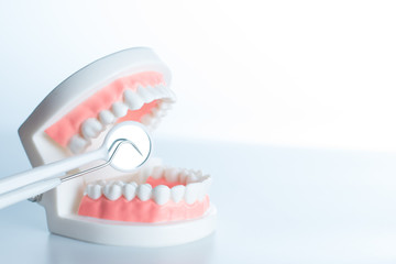 Dental model with dental equipment in oral health concept.