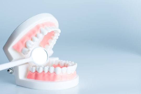Dental model with dental equipment in oral health concept.