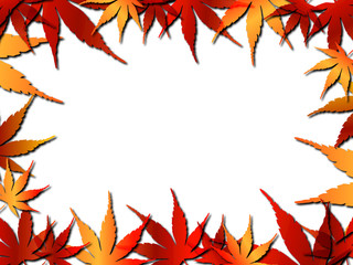 もみじ　シャドウ