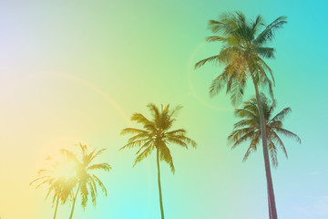 Coconut palm trees. Vintage toned