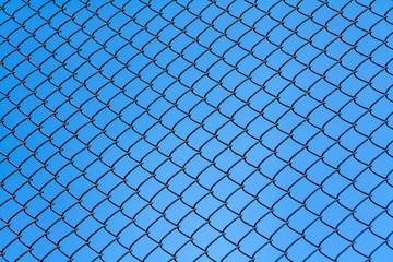 Wire mesh fence. Rabitz on sky background
