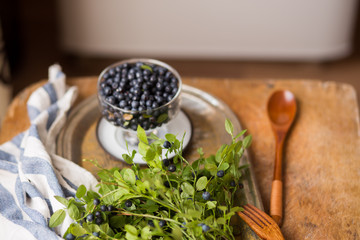 fresh stems of the leaves of blueberries on the table,