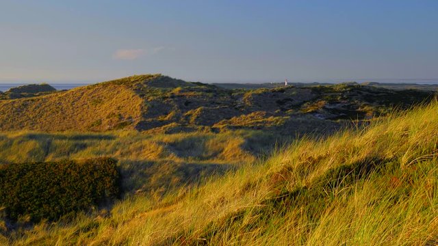 Wundersch&ouml;ner Blick &uuml;ber die D&uuml;nen - Landschaft von Sylt auf das Meer. Im Hintergrund der Leuchtturm von List