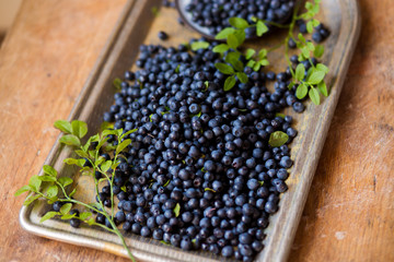 Close - up of fresh delicious blueberries, selective focus