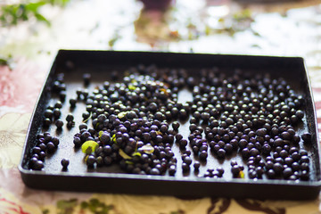 Close-up of fresh blueberries on a black pan