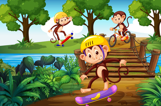 Monkey and extreme sport in the park