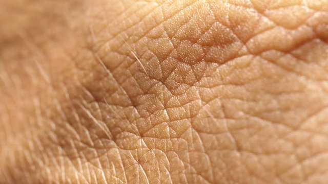 Human Skin Analysis