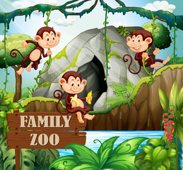 Monkey family in nature zoo