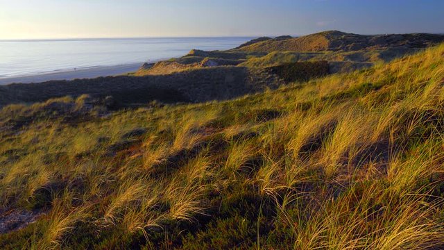 Wundersch&ouml;ner Blick &uuml;ber die D&uuml;nen Landschaft von Sylt auf das Meer. 