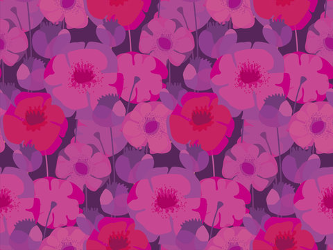 Pink and violet poppy flower meadow