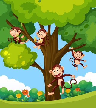 Monkey playing at the tree