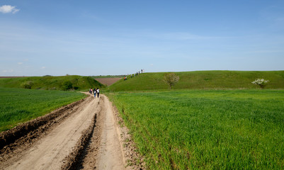 rural road in the field