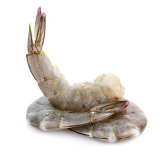 shrimps isolated on white background
