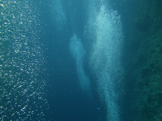 Fototapeta premium underwater