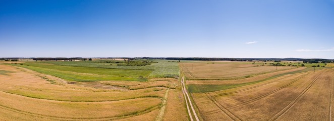 Aerial landscape with beautiful summer fields.