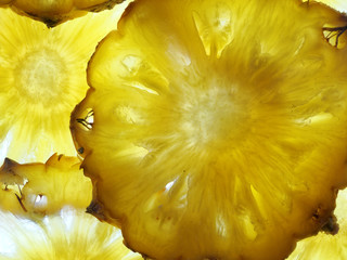 baby pineapple slices back lit abstract