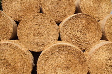 Gestapelte Strohballen 5