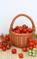 basket with red and green cherry tomatoes