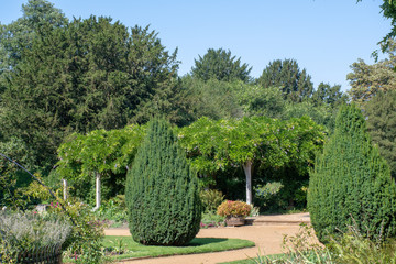 Traditional English garden with arbour and trees