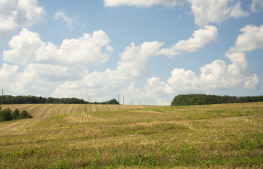 Obraz premium field and blue sky