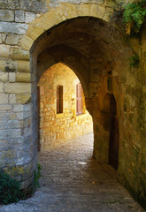Fototapeta na wymiar Village de la Roque-Gageac