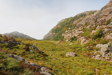 Fototapeta na wymiar grüne Wiese umgeben von Felslandschaft