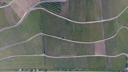 Aerial shoot of field with road