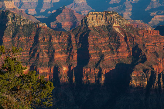 Grand Canyon North Rim © natureguy
