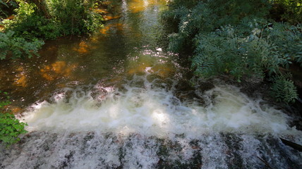 Cascada en un río con el reflejo del sol en el agua, con espuma y plantas en las dos orillas vista desde arriba en bosque con paisaje natural
