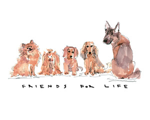 Dogs sitting in a row with text friends for life