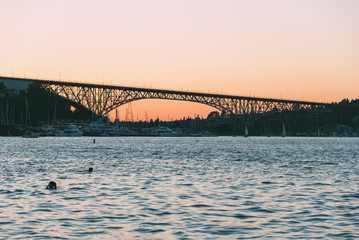 Fototapeta na wymiar Aurora Bridge in Seattle