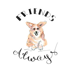 Illustration of Corgi dog with lettering friends always