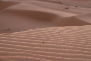 sahara desert,Merzouga